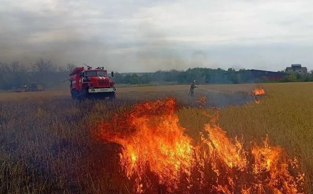 Изображение 1 к публикации «Самара Новости | Новости Самары и Самарской области»