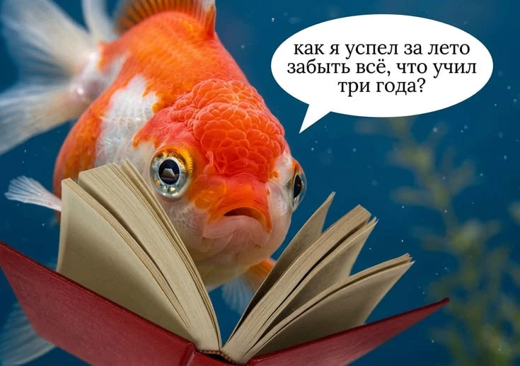 🔔 Будущие 11-классники, эта информация для вас!