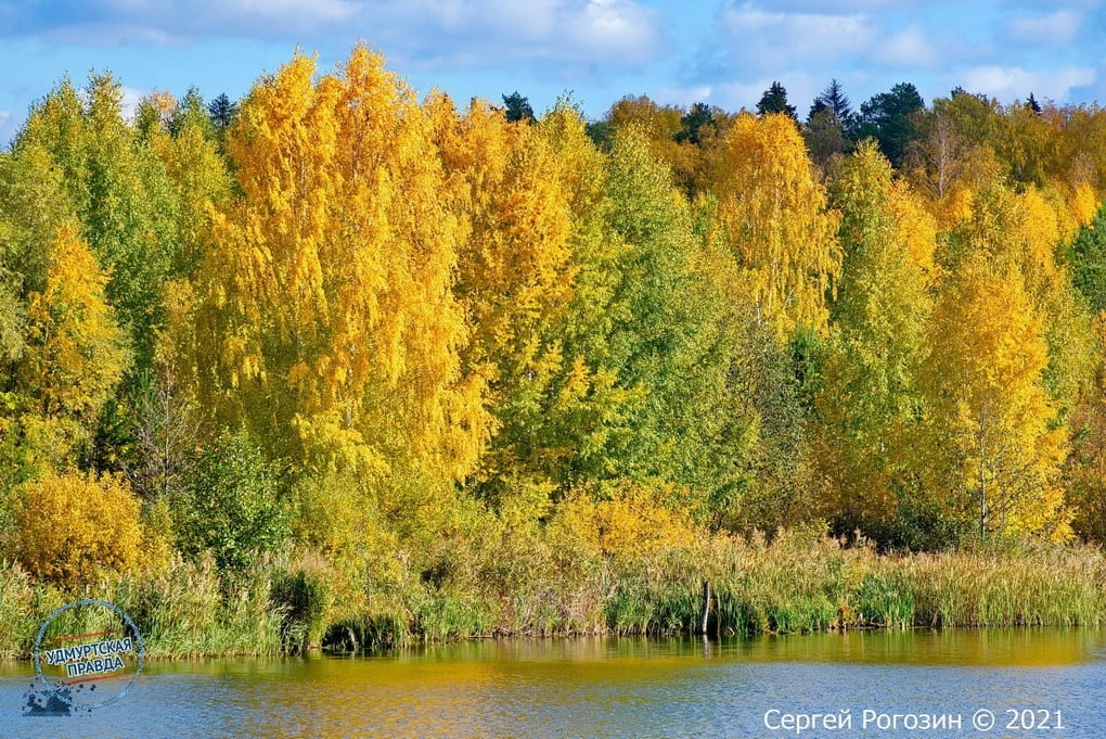 🍁 В лесах Удмуртии завершился пожароопасный сезон