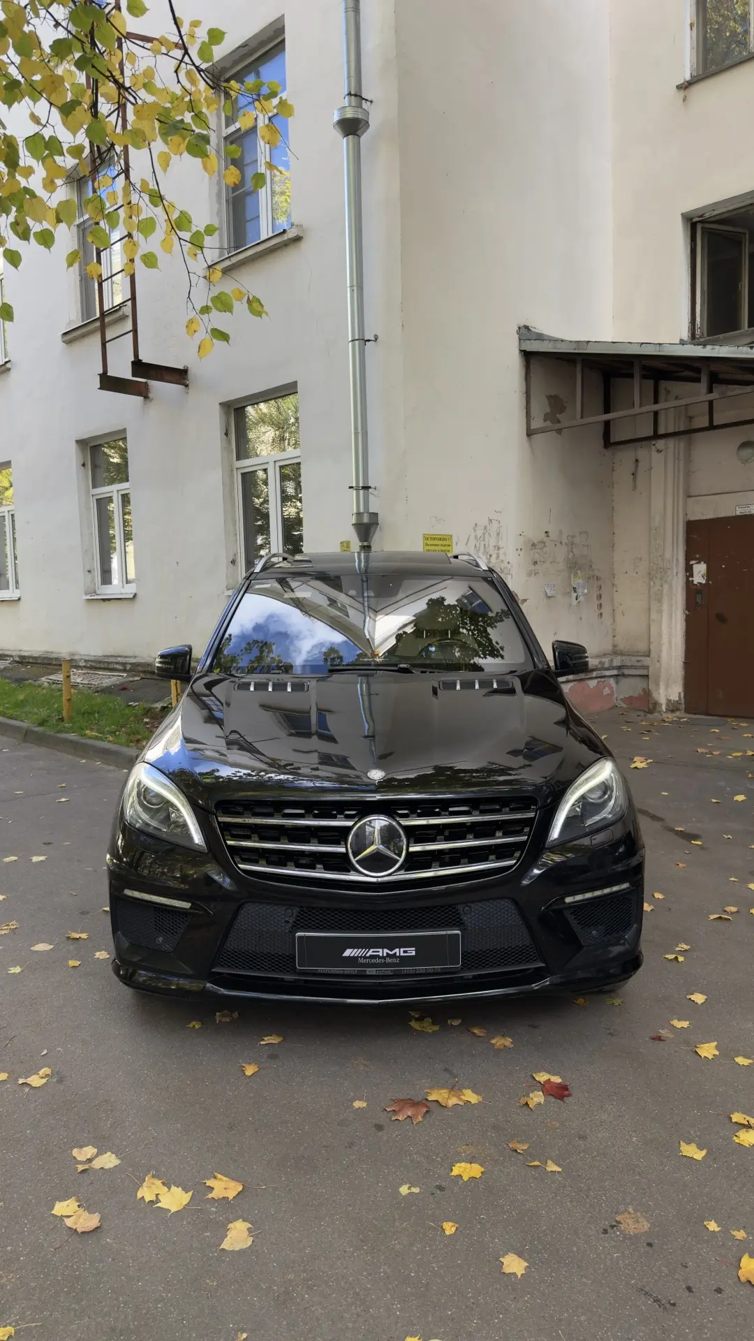 Красавец