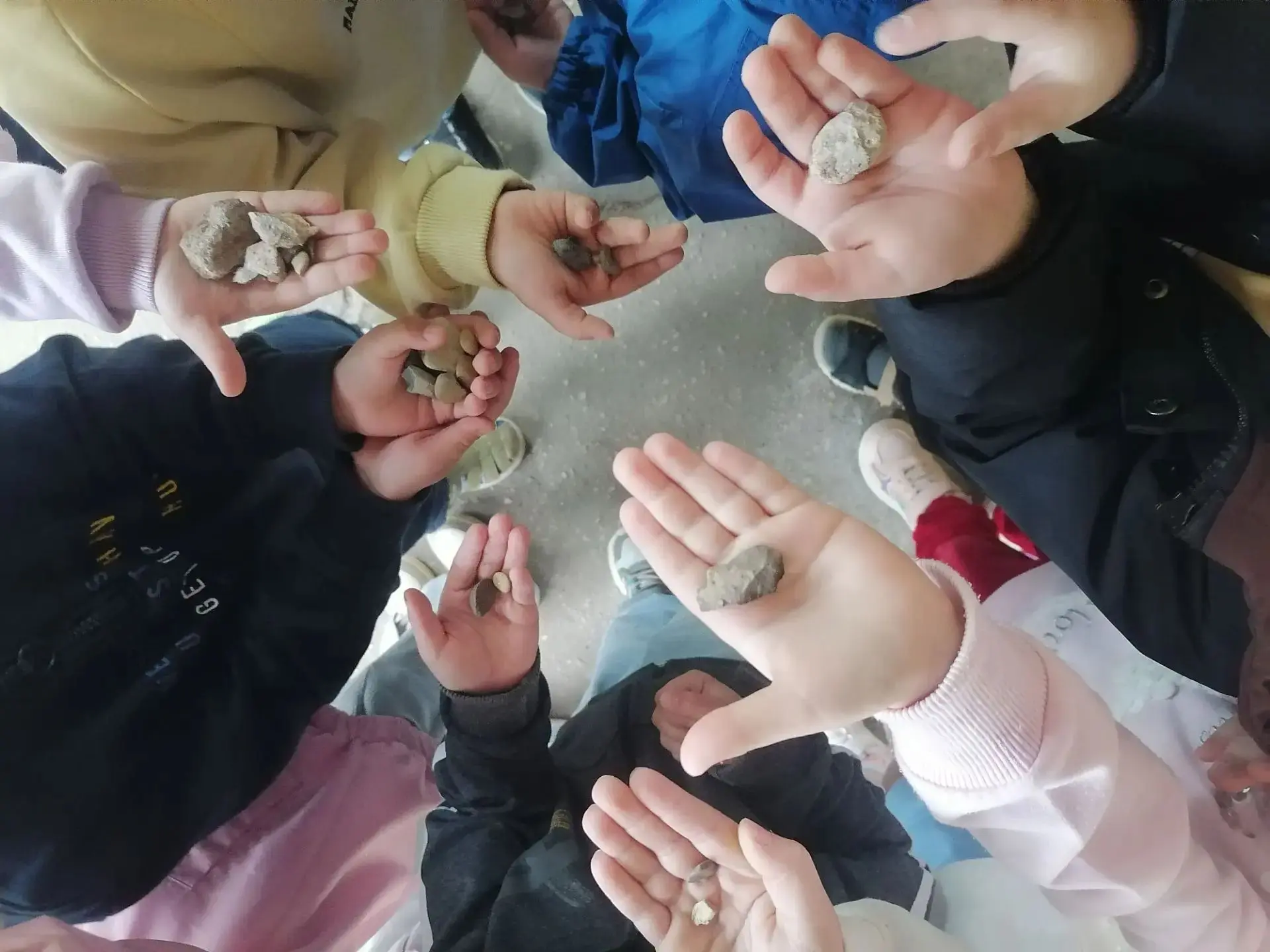 В 3 группе нашего детского сад дети стали настоящими "Знатоками природы". С самого утра мы отправили