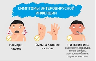 Ежегодно во многих странах мира, в том числе в России, регистрируются случаи заболевани...