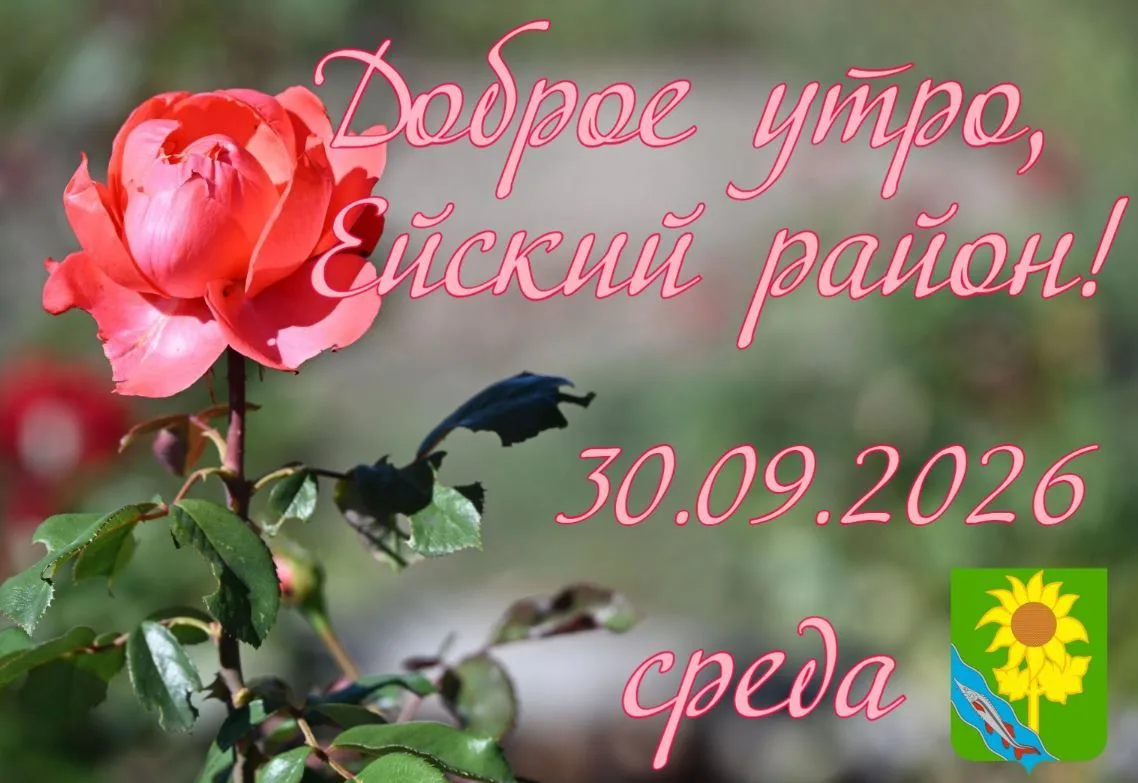 Доброе утро, коллеги, жители и гости Ейского района! 🌗