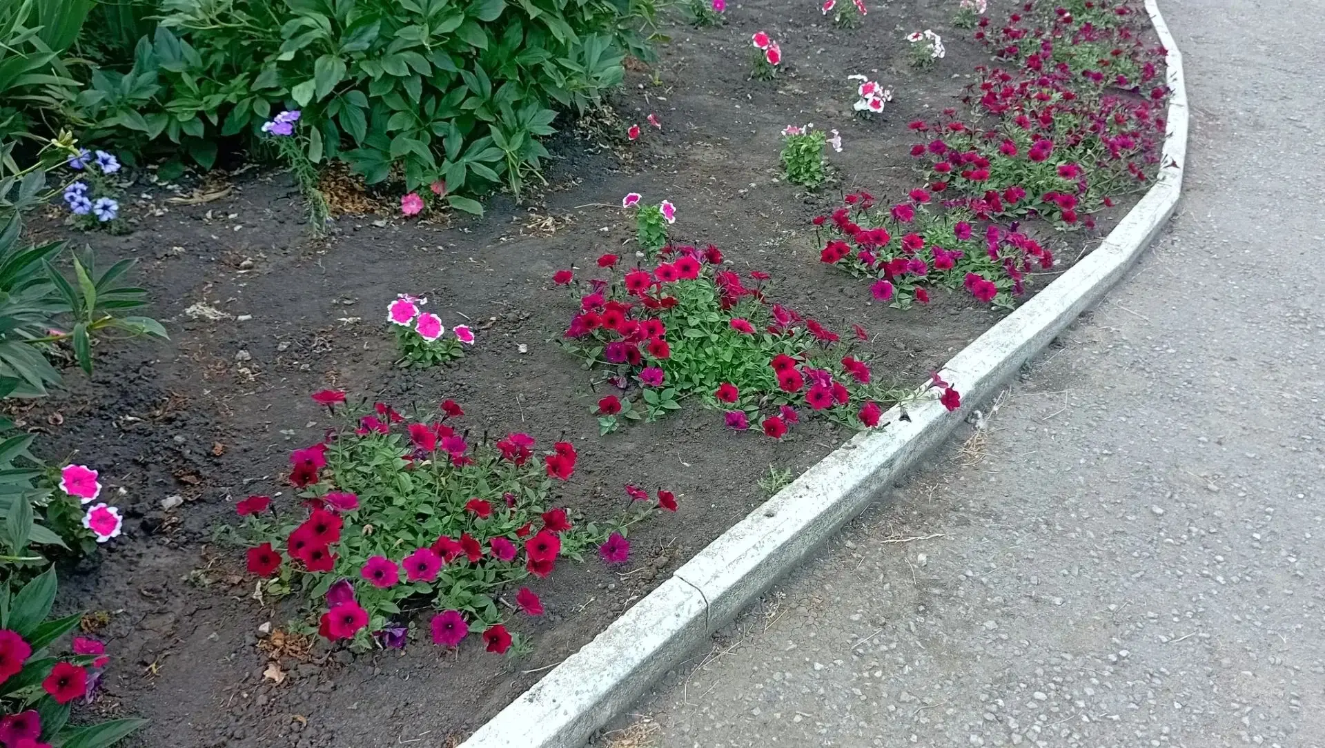 🌼Говорят, что школа начинается с вешалки. Но для нас, жителей села Ольховец, она начин...