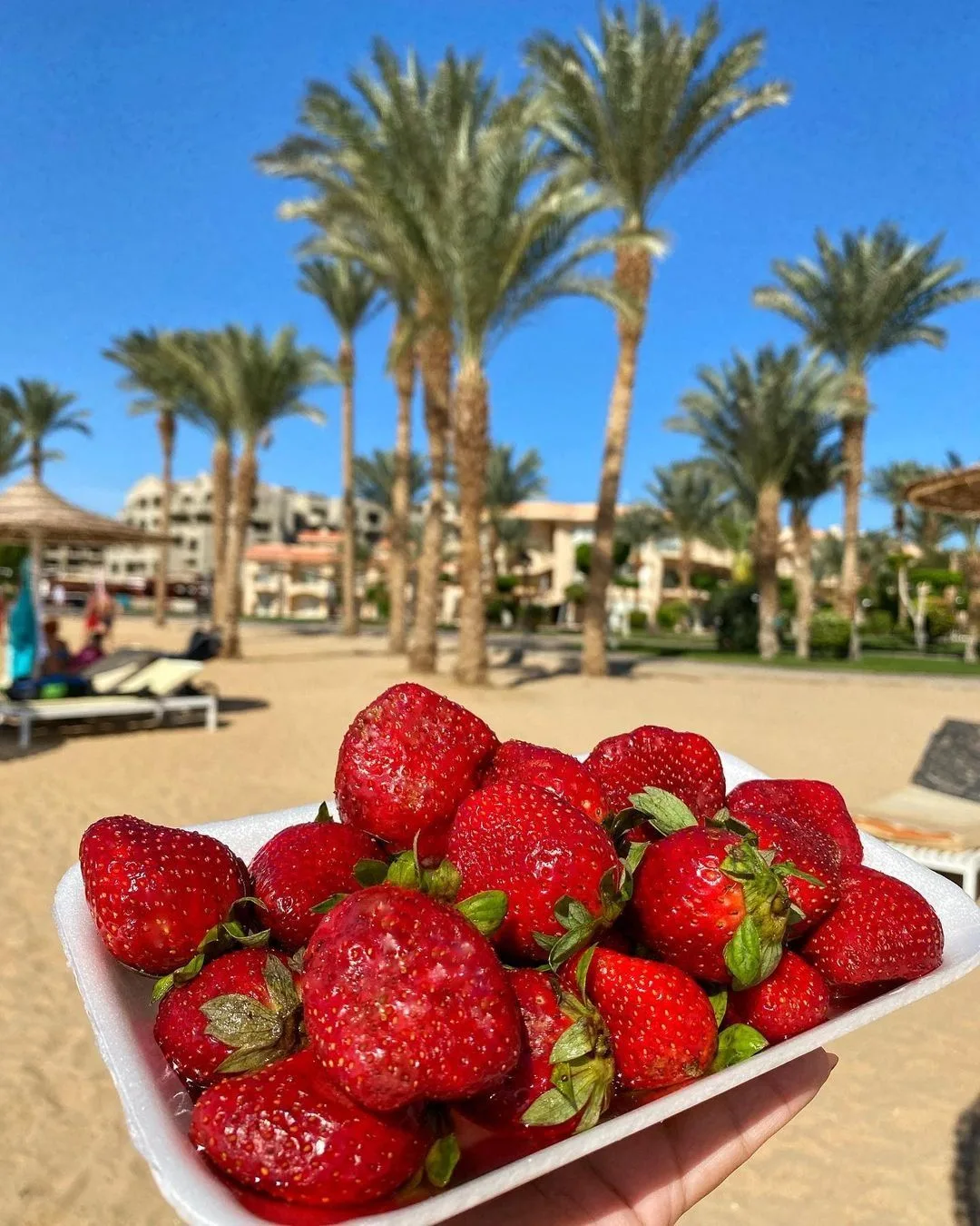 НОВЫЙ ГОД В ЕГИПТЕ 🦈🍓