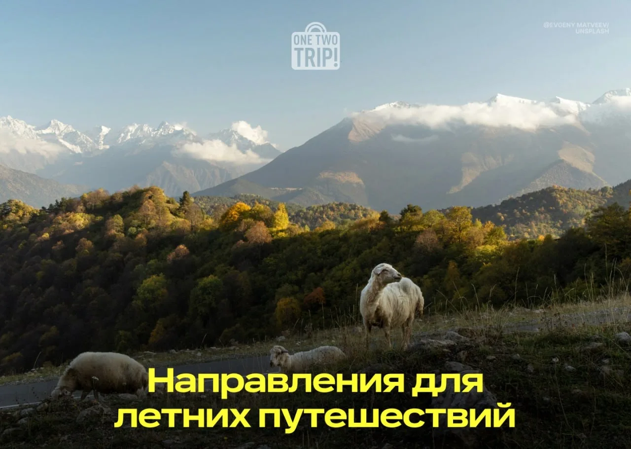 🏖 Кто виноват и куда поехать летом…