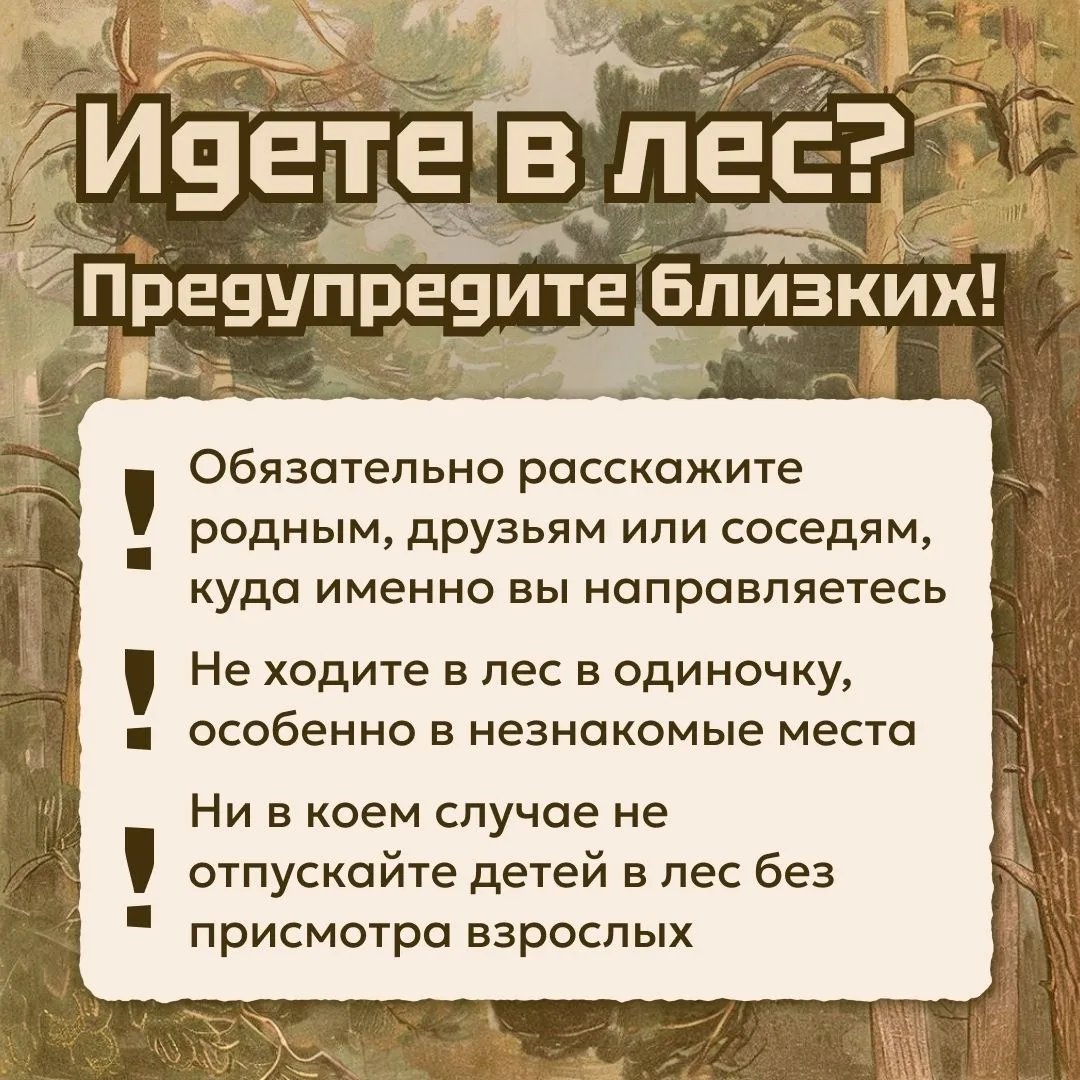 Лесная безопасность: главные правила

Лес — это красота и щедрые дары, но также зона повышенной опас