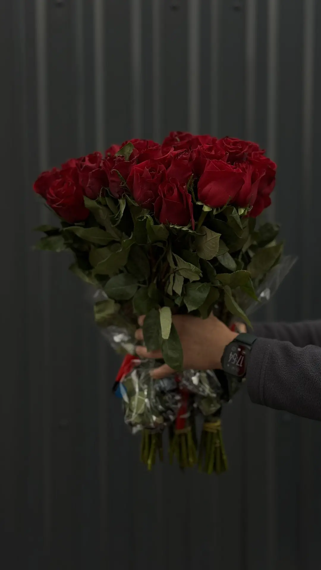 Роза 🌹 🇰🇪 Ever Red 50 - 69₽