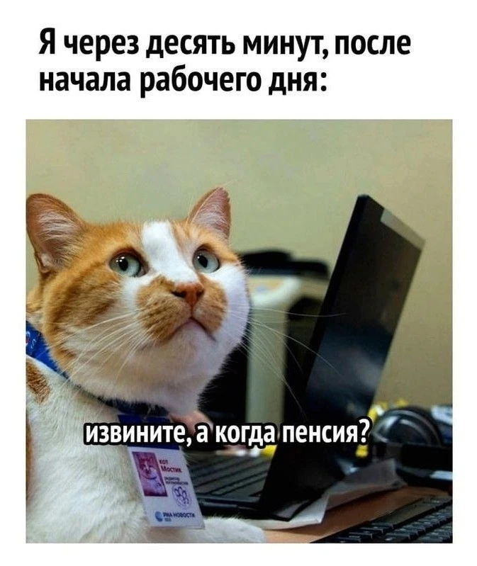 @RABOTA_KRASNOYARSK_REZUME