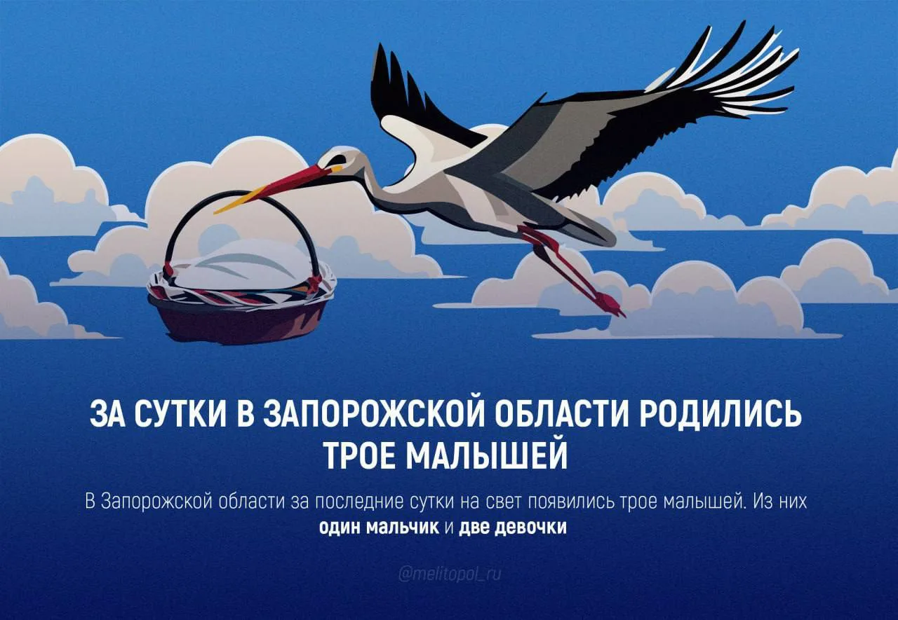 За сутки в Запорожской области родились трое малышей