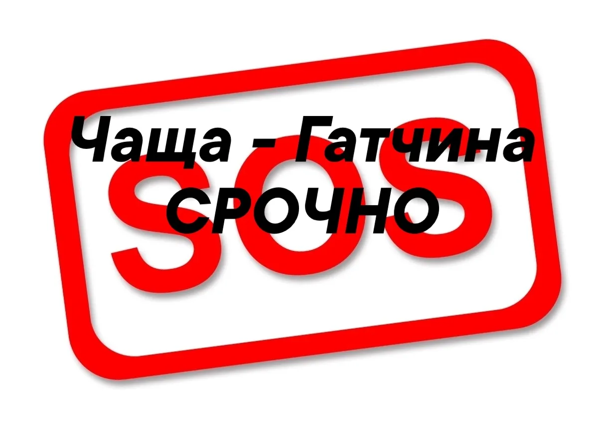Дорогие соседи! Сос! 🛟
