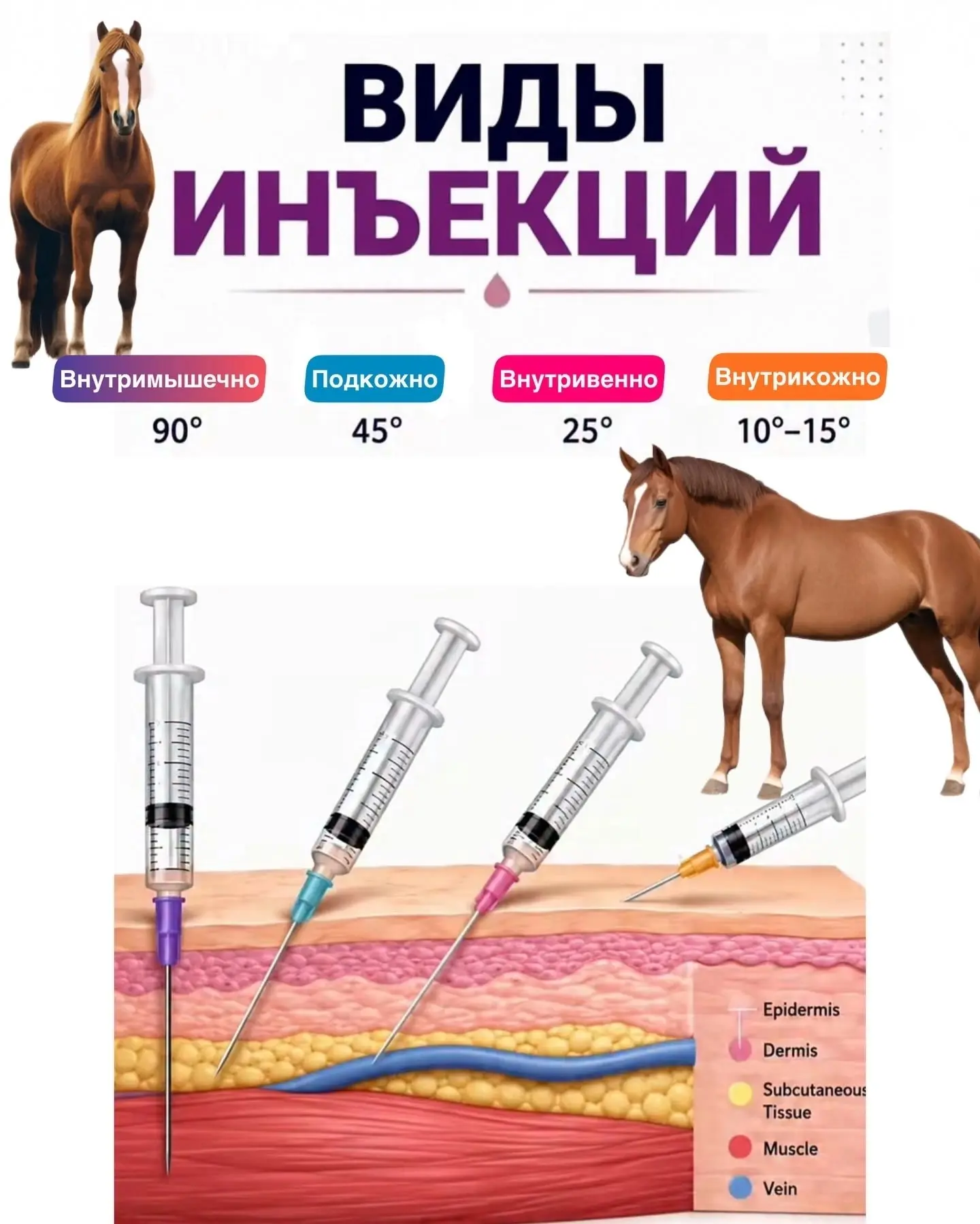 💉Внутримышечная (ВМ)