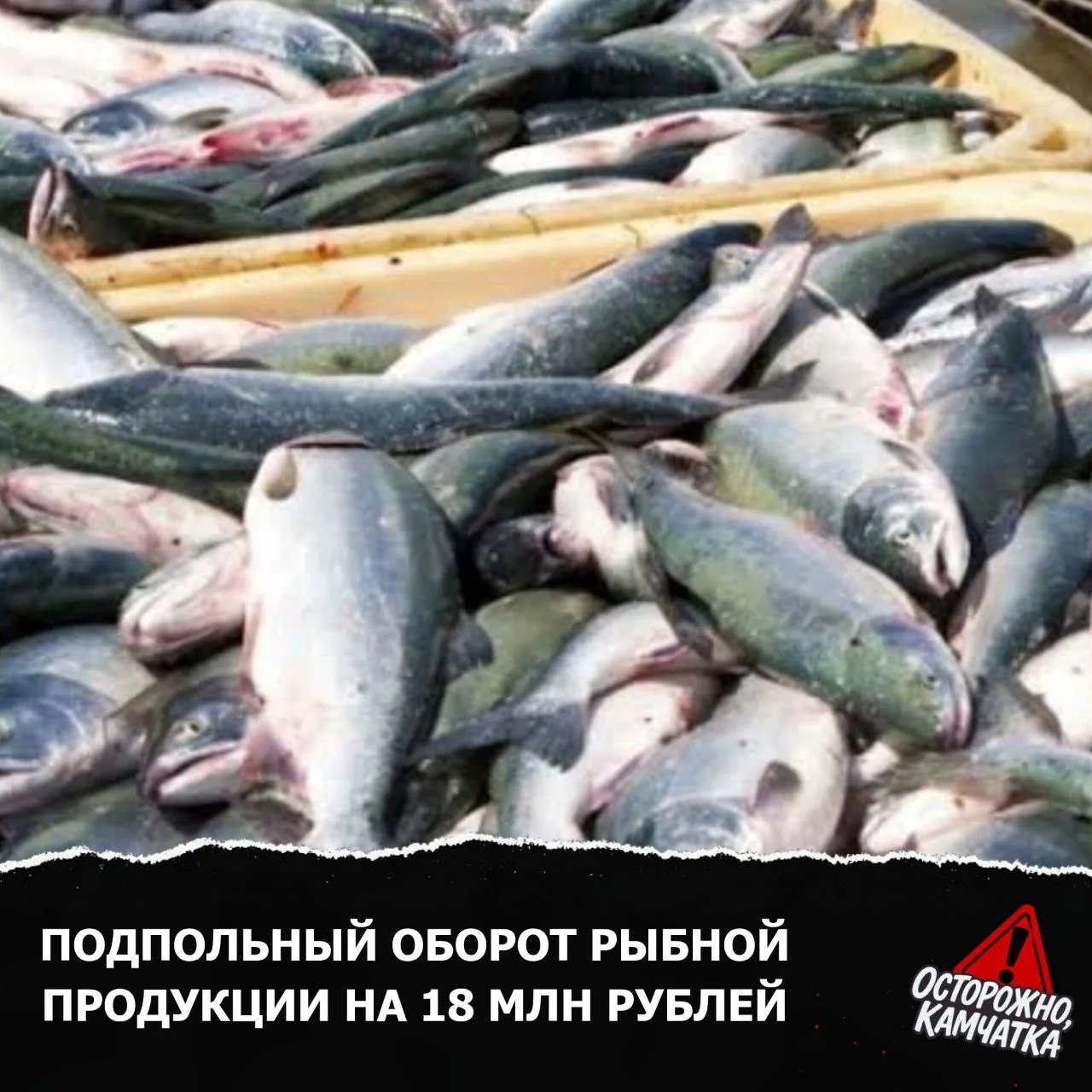 ⚠️ Завершено расследование уголовного дела об организованной группе, занимавшейся незаконным оборото