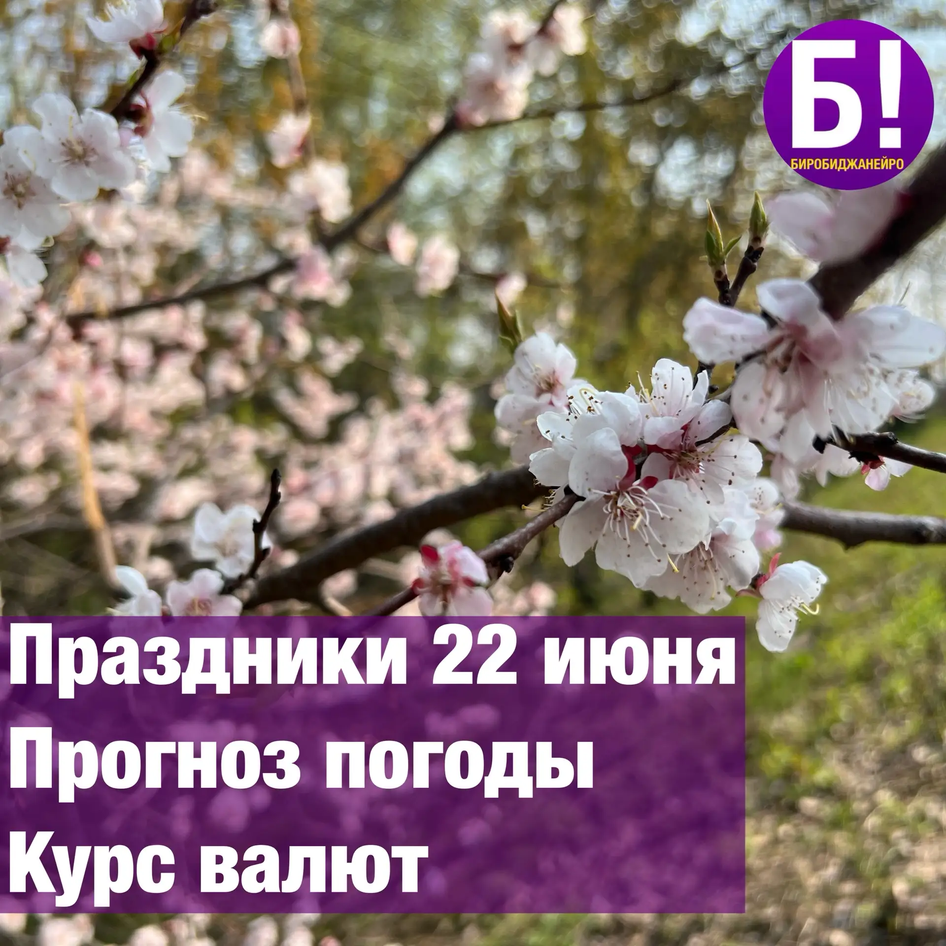 • День памяти и скорби - Начало Великой Отечественной войны 
• День подмигивания кошкам 
• День шоко
