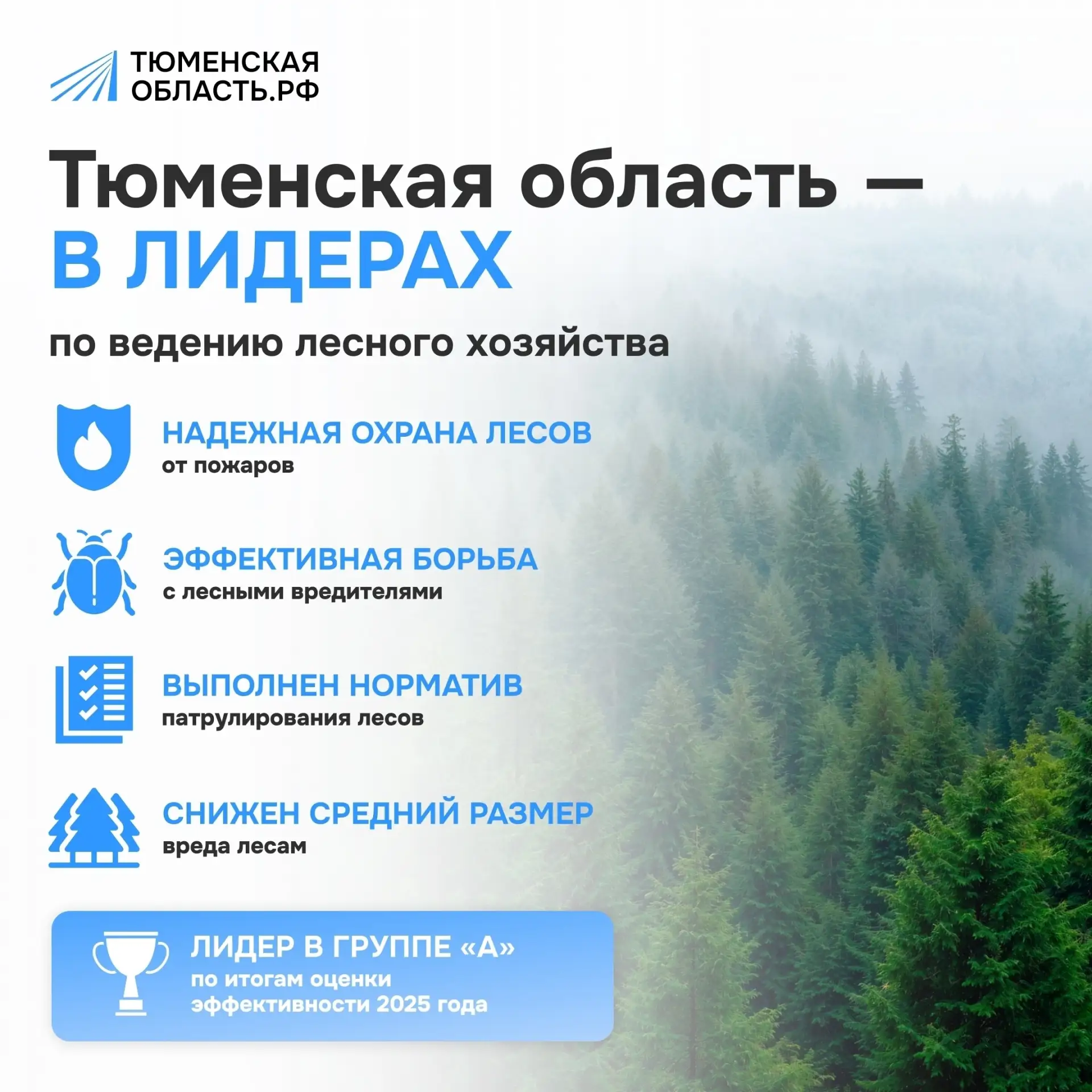 Тюменская область заняла первое место по уровню ведения лесного хозяйства 🌲🏆