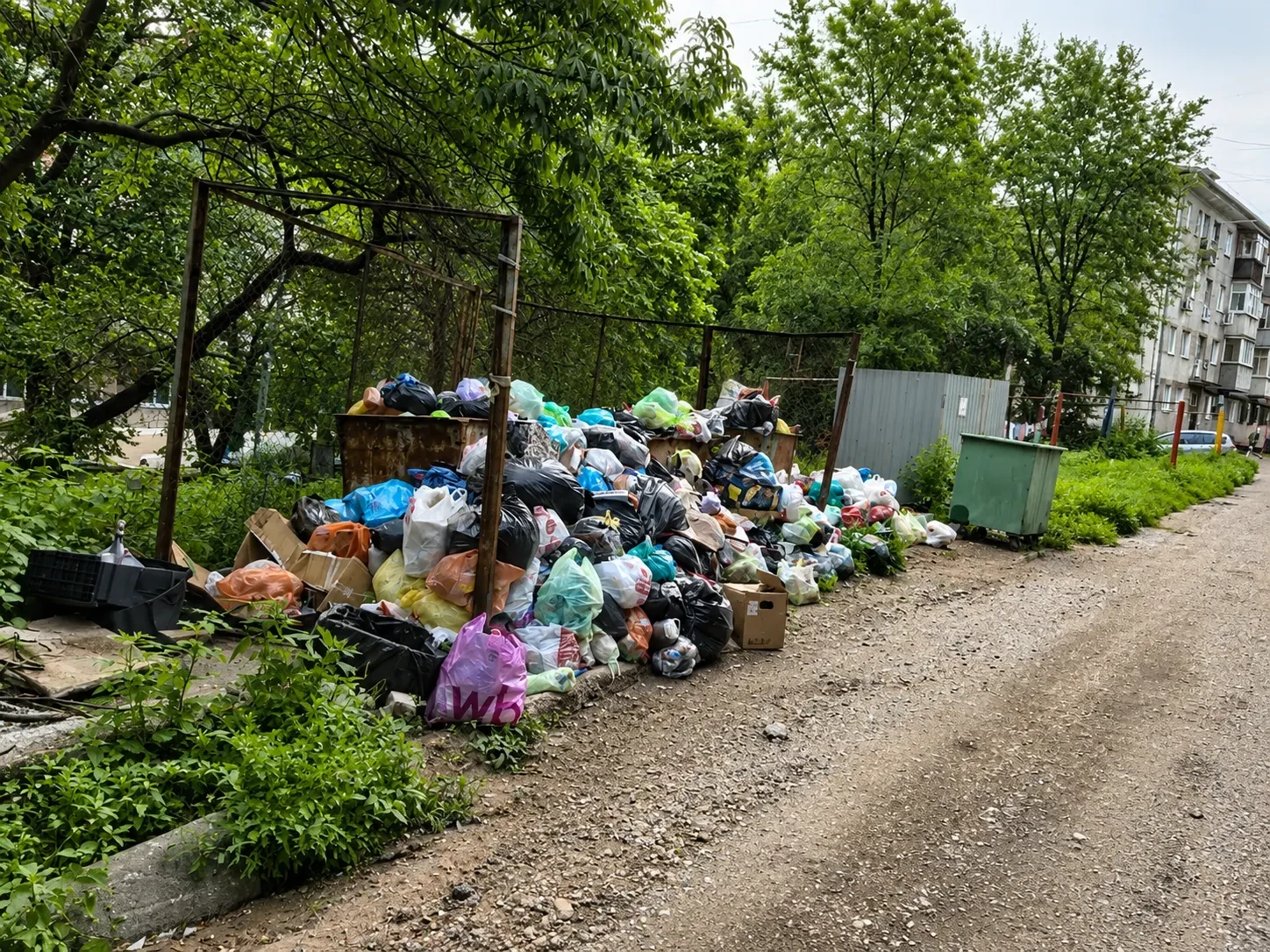 На Заводской улице Находки начался мусорный коллапс

Улица Заводская в Находке вторую неделю остаётс