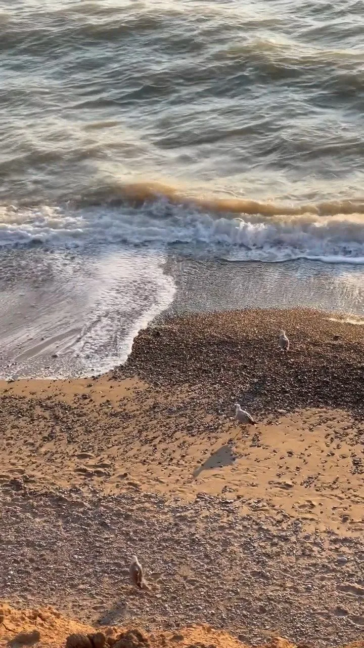 Видео