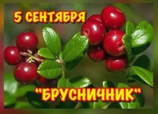🌿Луп Брусничник — народный праздник, который отмечается 5 сентября