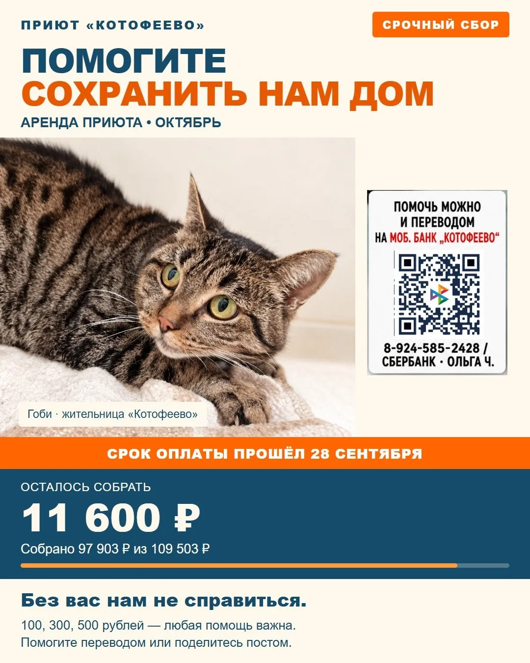 Снимите комнату коту на октябрь 🏠