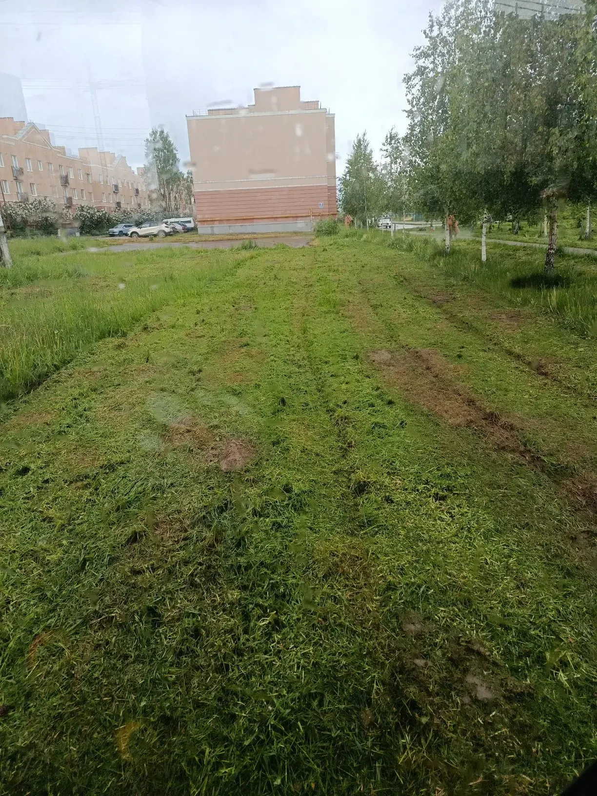 Микрорайон стал еще прекрасней! 🌿                                                 Упра...