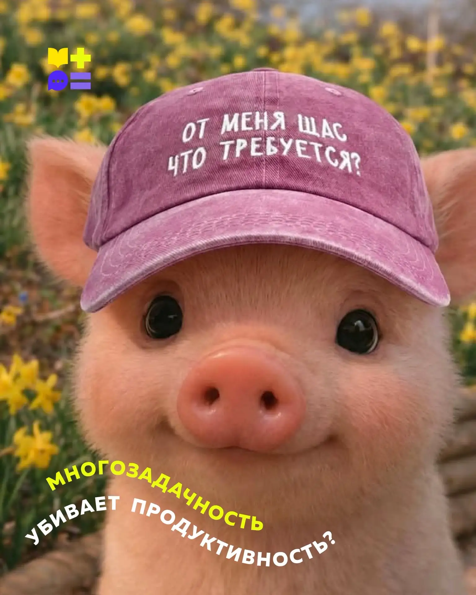 Мы привыкли гордиться многозадачностью: учёба, телефон, музыка — всё одновременно. Но и...