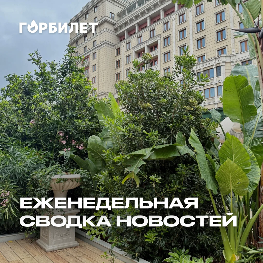 Новая набережная, День ВМФ и чем заняться на празднике огурца в Суздале — главные новос...