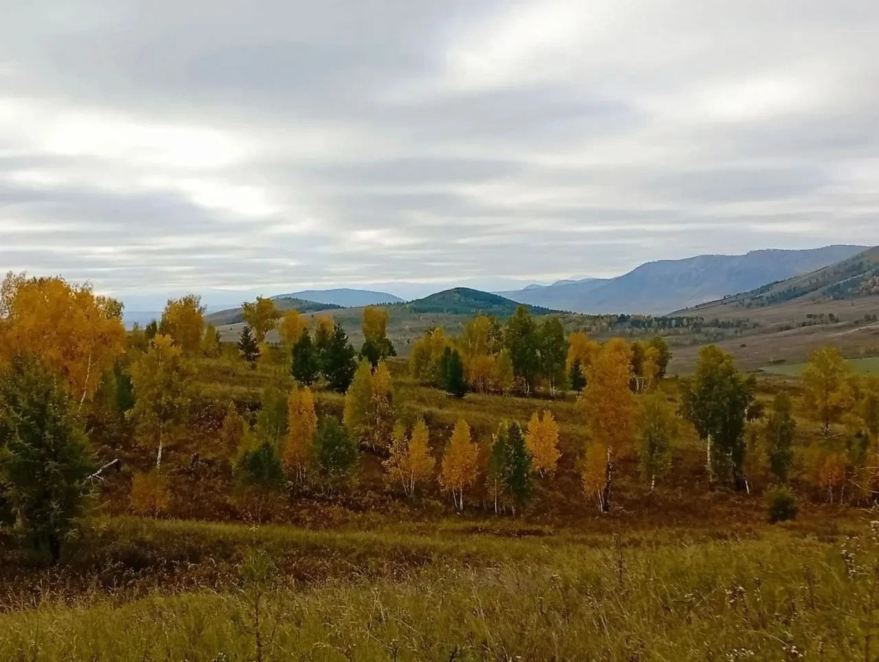 Осень в своих лучших проявлениях. Тёплые лучи солнца, золотые листья и ясное небо — каж...