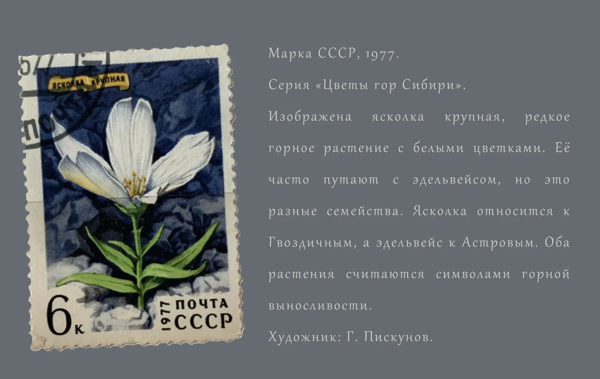 "Иногда мне хочется встретить собеседника, с которым можно, не стесняясь, поговорить о таких вещах, 