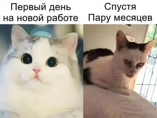 Улыбнись | Юмор