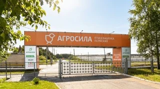 Пресс-релиз от 17 июня
Курс на рост: холдинг «АГРОСИЛА» расширяет бройлерное производство за счёт ма
