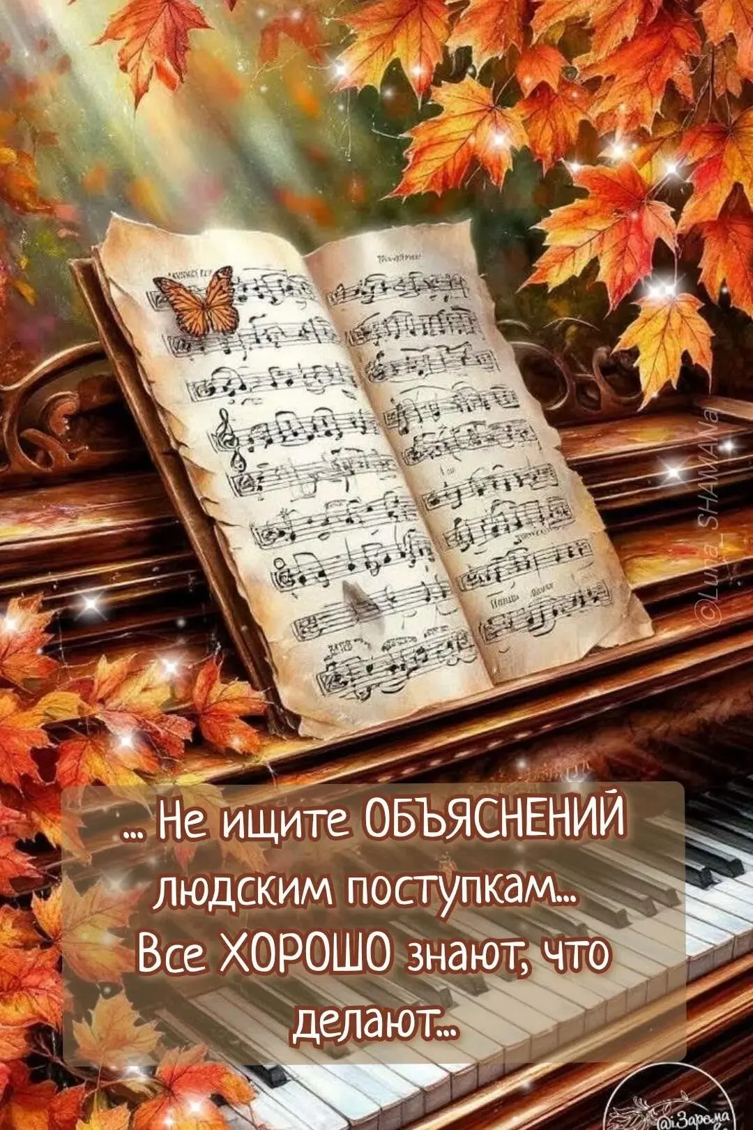 Доброе утро.