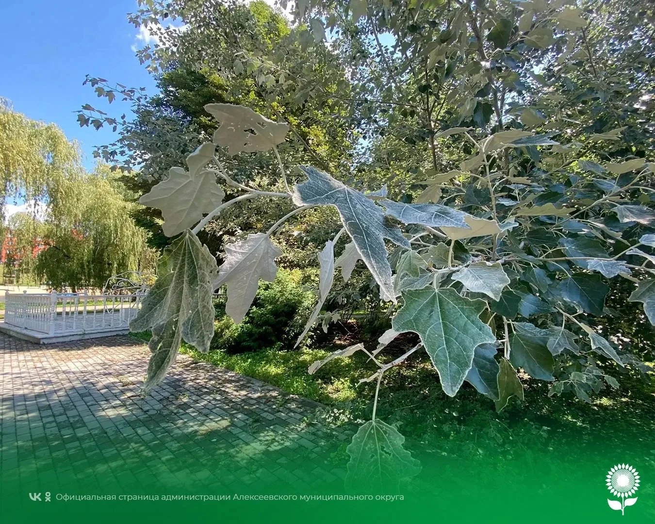 30 июля

Температура воздуха 18°C, переменная облачность, кратковременные дожди.
Ветер свежий, запад