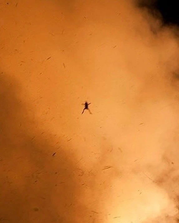 Во время запуска LADEE в 2013 году камера случайно засняла лягушку, взлетевшую от мощи ...