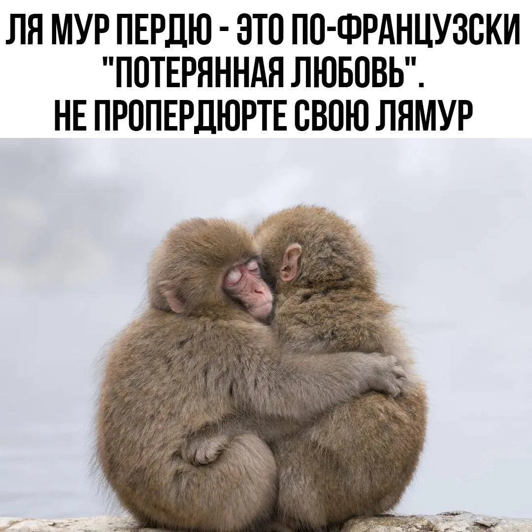 👉Юмористка