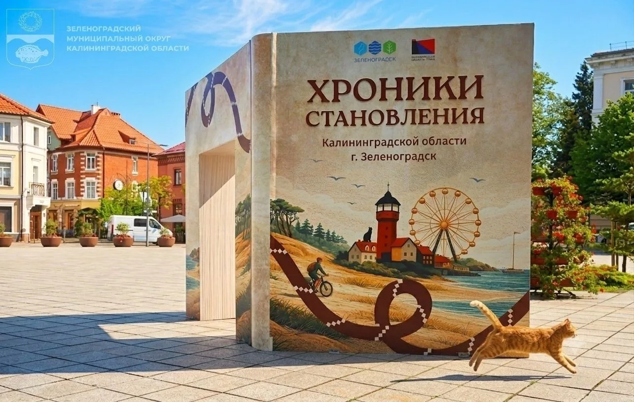 Центр Зеленоградска украсили вот такими инсталляциями.

Арт-объекты к 80-летию образования региона р
