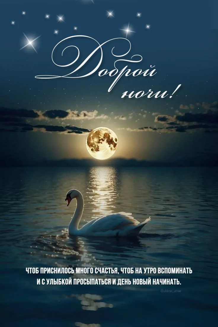Доброй ночи! Чудесных сновидений! До завтра! ✨🌙