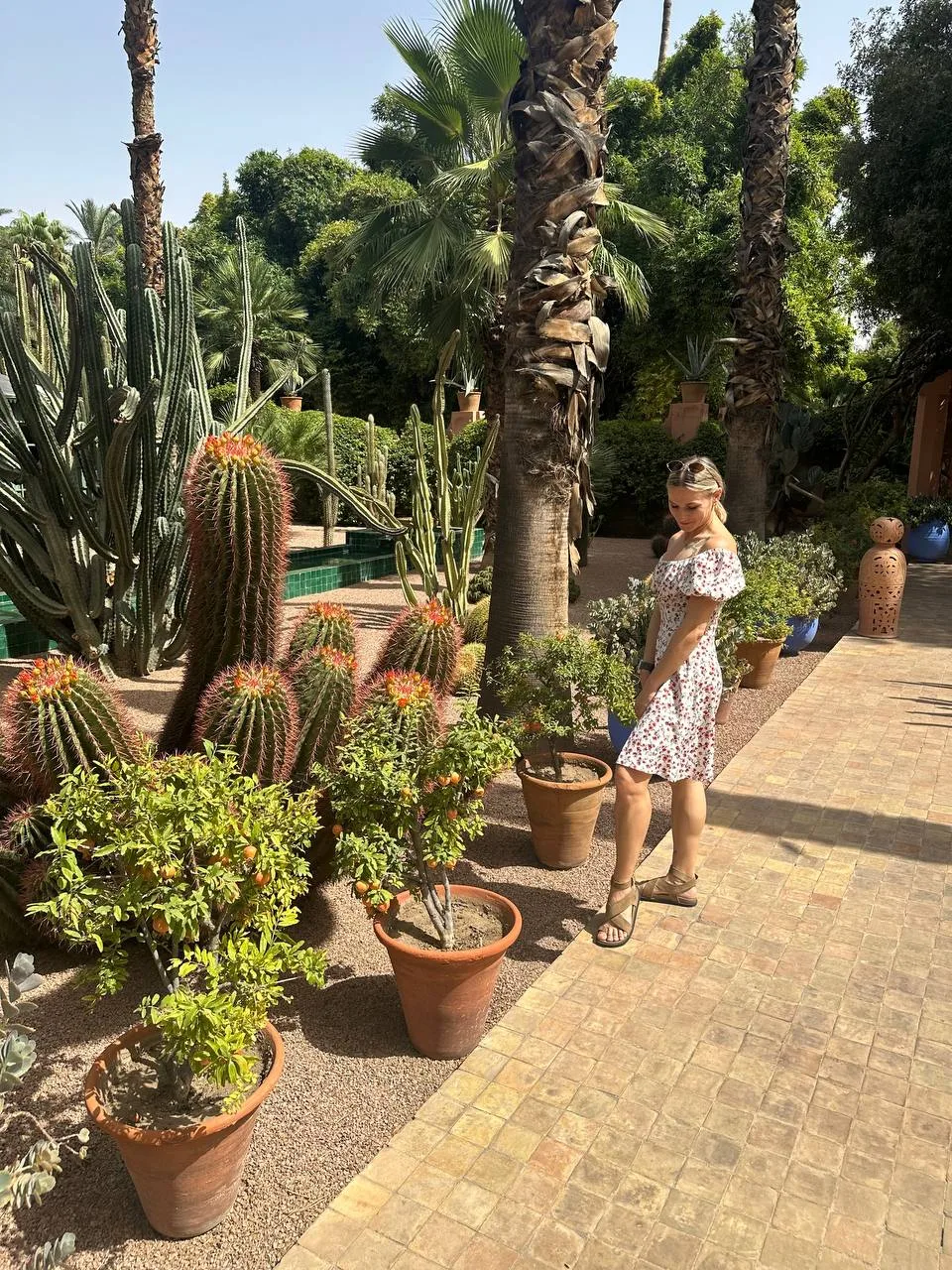 00:03 / Марракеш 🌴 (Часть 3 из 5)