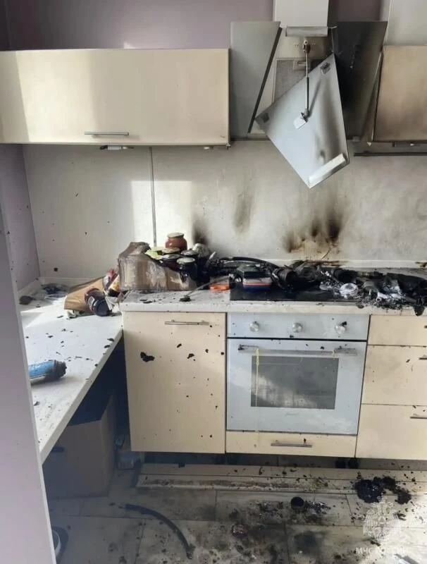В Одинцово кот взорвал газовый баллон в квартире, сообщает МЧС.