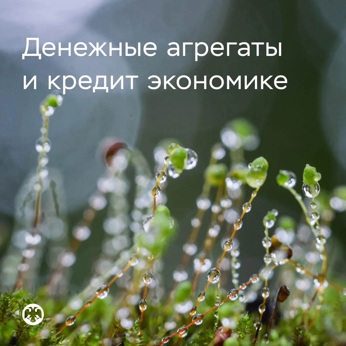 Рост денежной массы и кредита экономике в июне замедлился
 
▫️ Темп роста широкой денежной массы М2Х