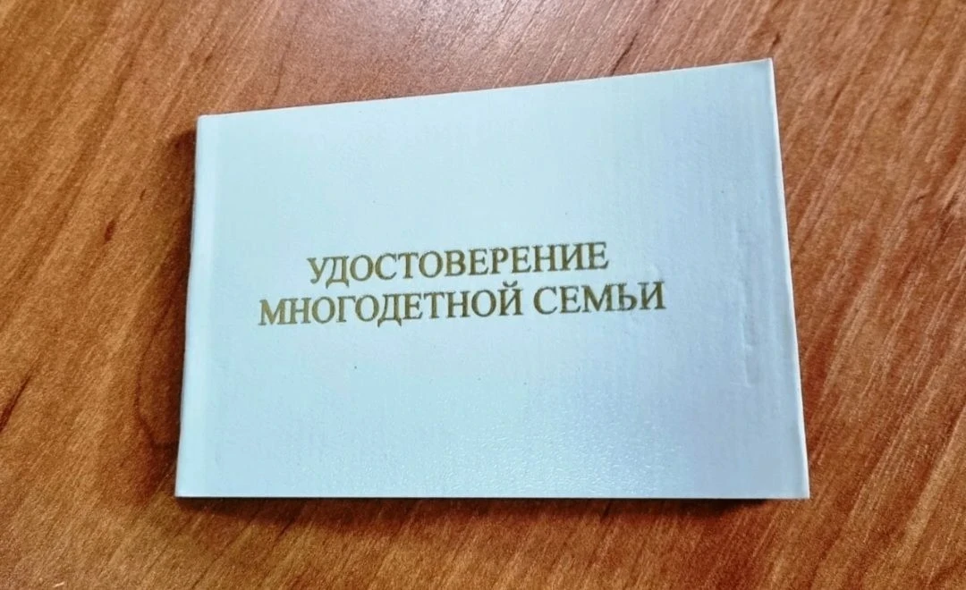 💐 Каждый год 30 мая Ростовская область отмечает День многодетных семей — праздник, учр...