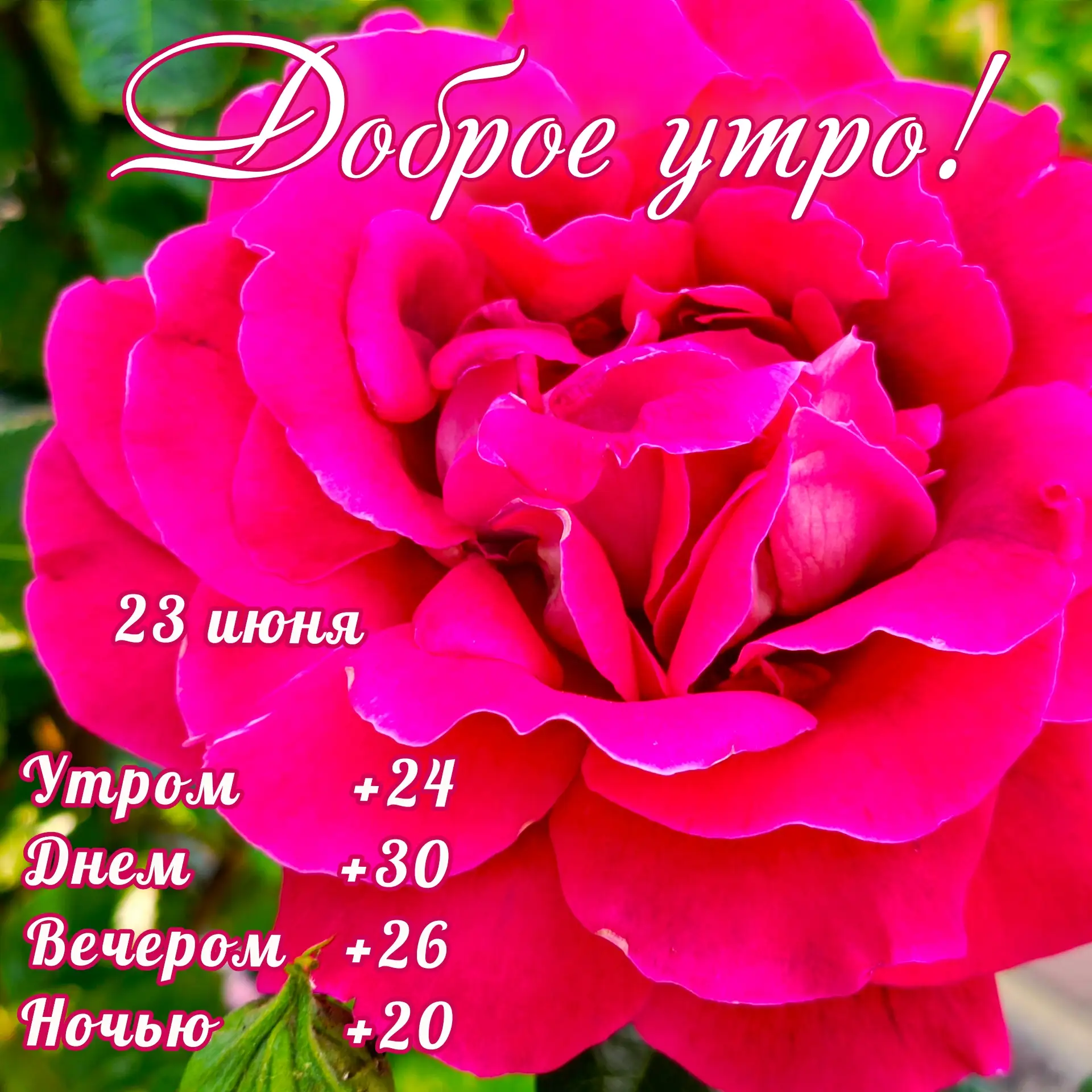 Доброе утро!

Сегодня температура воздуха  +18°..+30°, возможен слабый дождь, ветер 2-4 м/с, порывы 