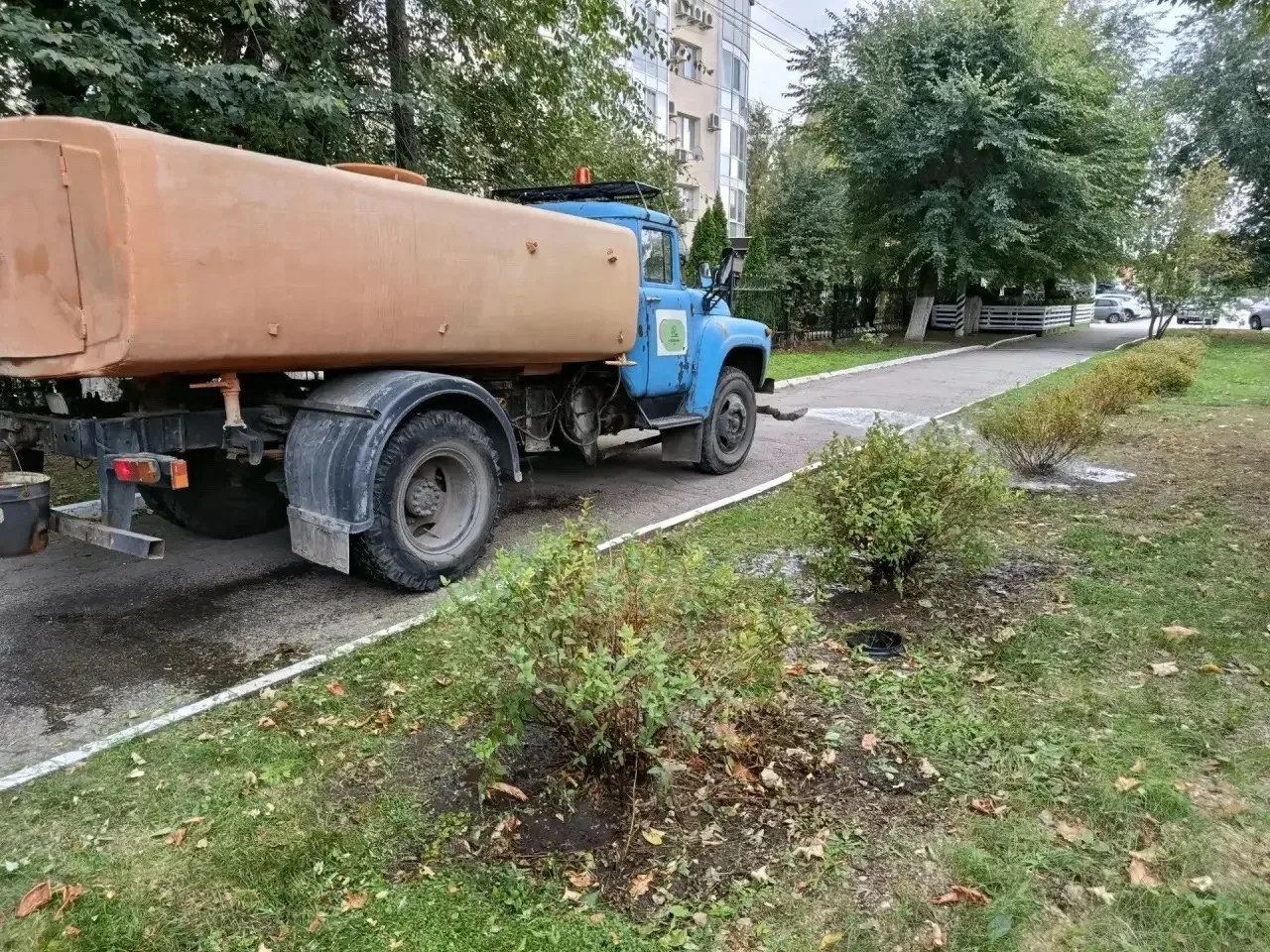 📆 МКУ «Озеленение» продолжает благоустройство общественных пространств.