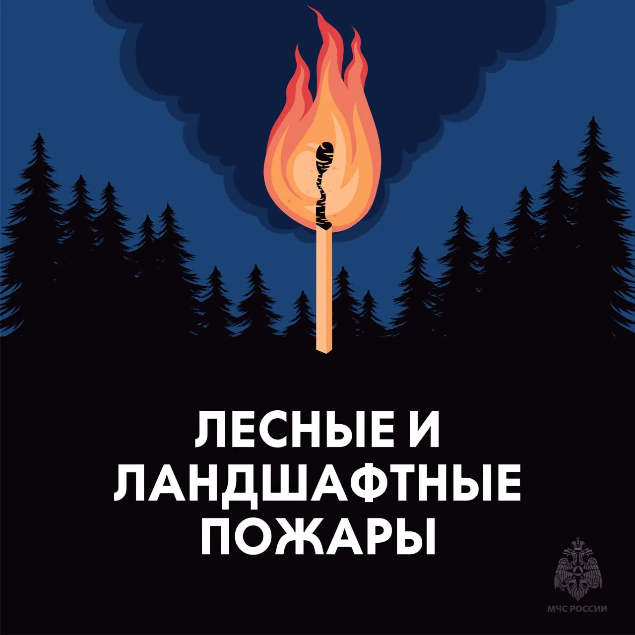 МЧС России напоминает: не сжигай сухую траву❗️