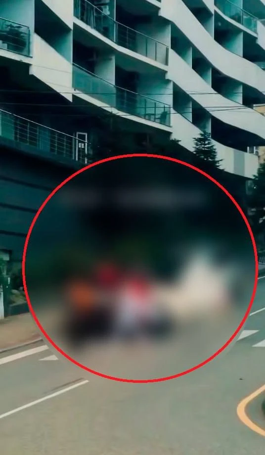 Очевидцы в шоке: в курортном городе заметили неопознанного зверя 🌴😳  Видео со зверем тут👈🏻