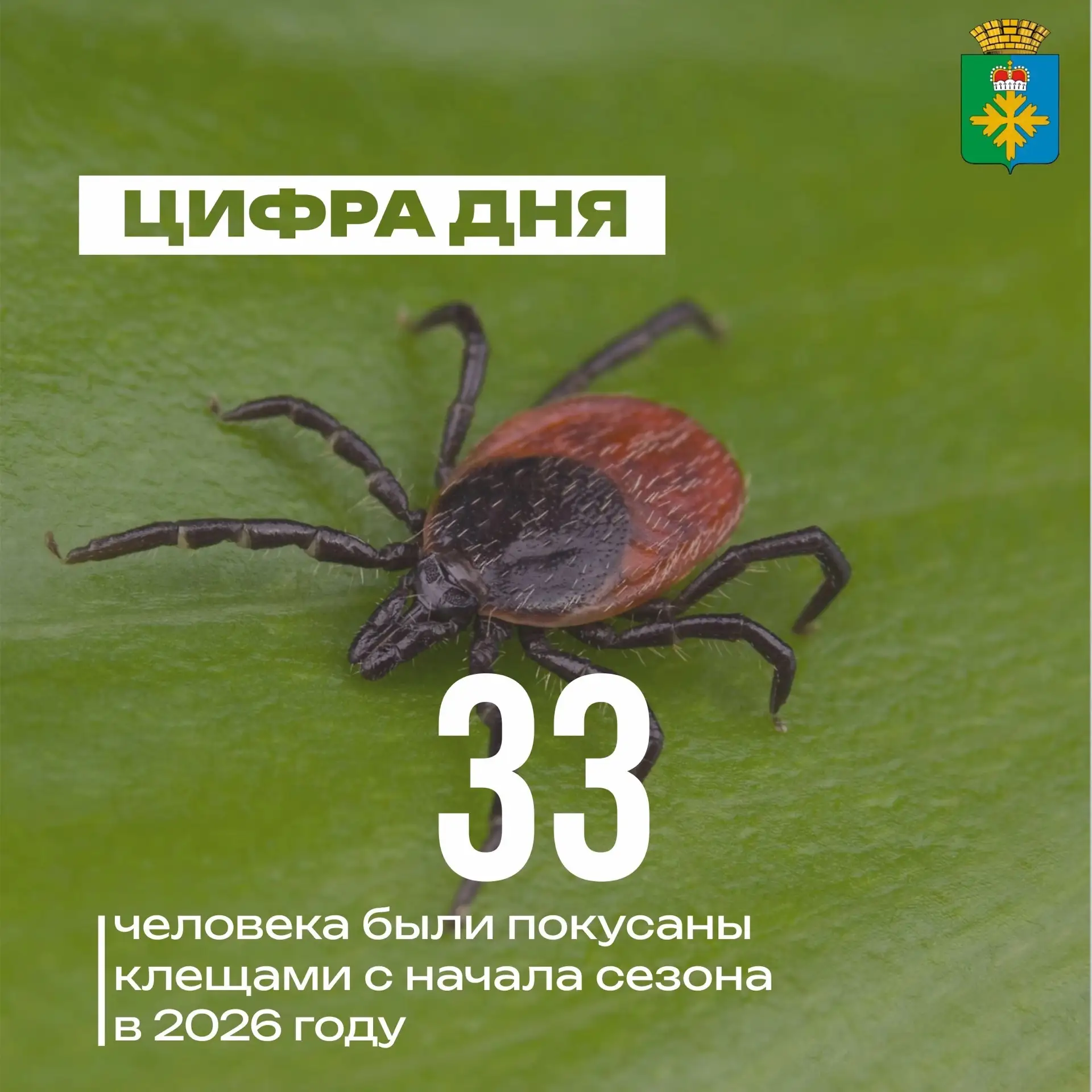 🛡 Клещи активны