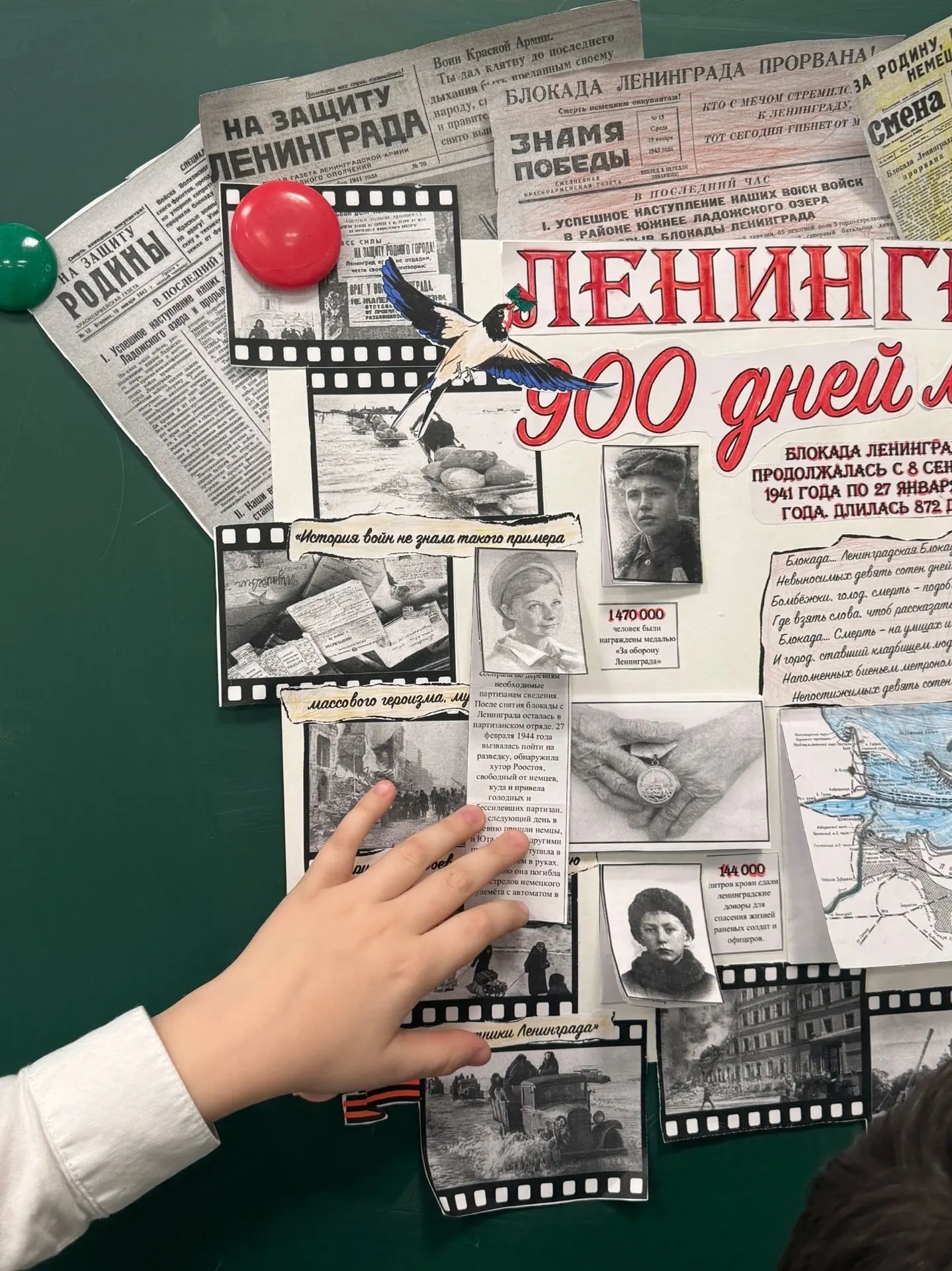 «Ленинград: 900 дней мужества» — так называется стенгазета, созданная нашим 2 «В» классом ко Дню пол