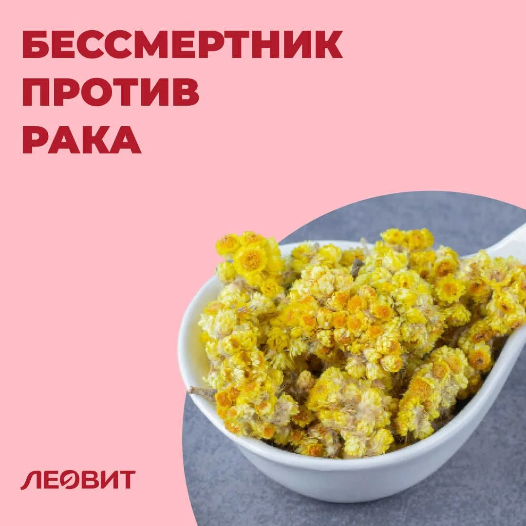 Противоопухолевые эффекты бессмертника

Бессмертник — растение с необычным названием и серьёзной ист