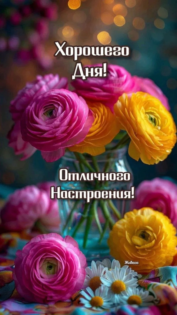 Изображение 1 к публикации «Твои открытки»