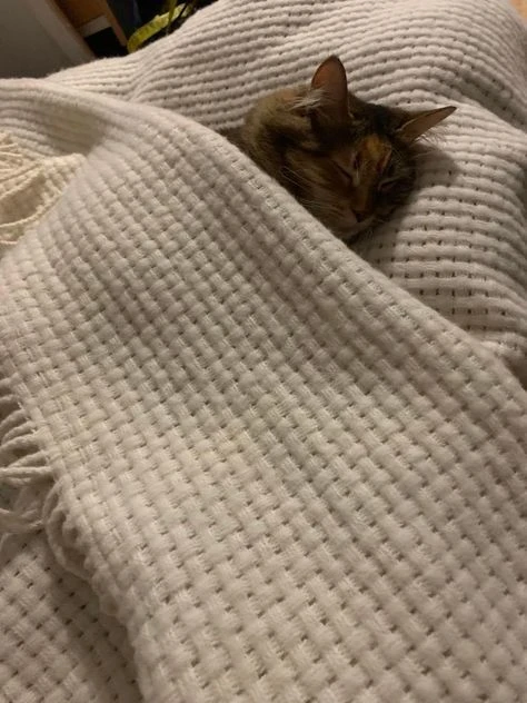 Приятных снов, друзья! Высыпайтесь! 🌙