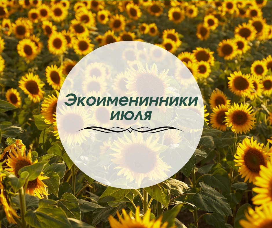 Июль — самый теплый месяц лета, а значит, самое время отмечать дни рождения на природе, встречаться 